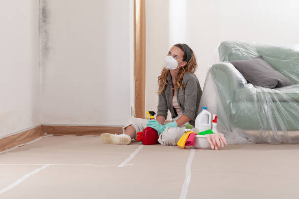 Reliable Mold Cleanup contractor in Tenafly, NJ by WQB Mold Removal